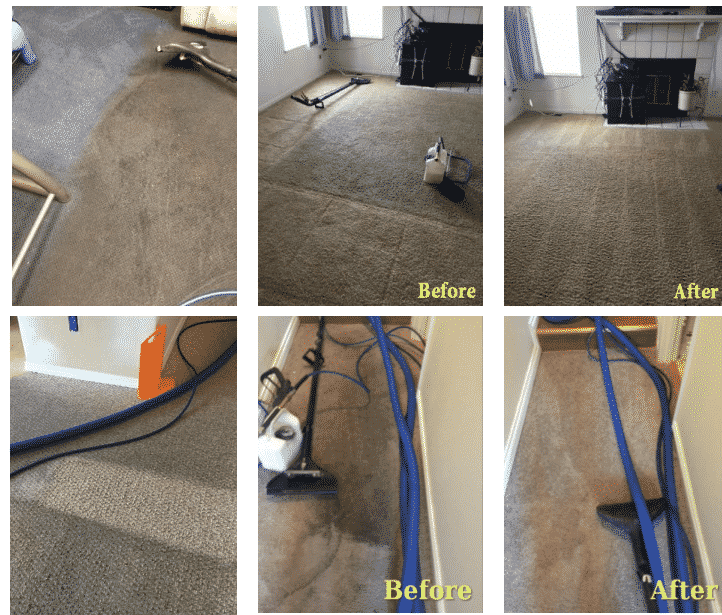 Carpet Cleaning Service
